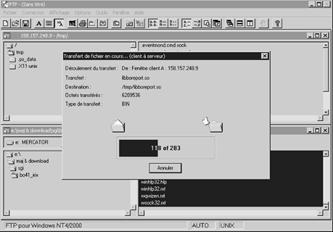 Décisionnel BI BusinessObjects Irix, SGI, Silicon Graphics Indigo